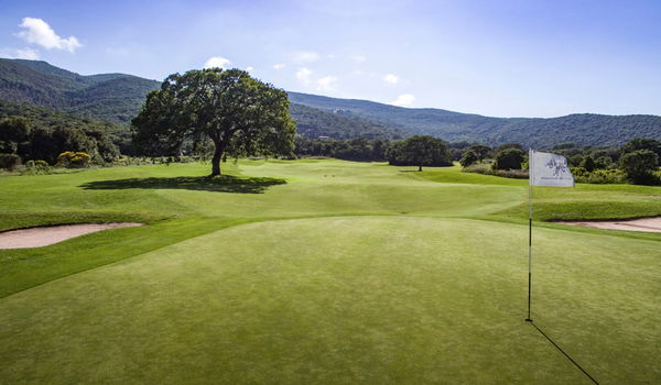 The 13th hole
