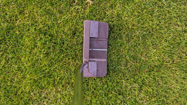 Bettinardi Queen B #6